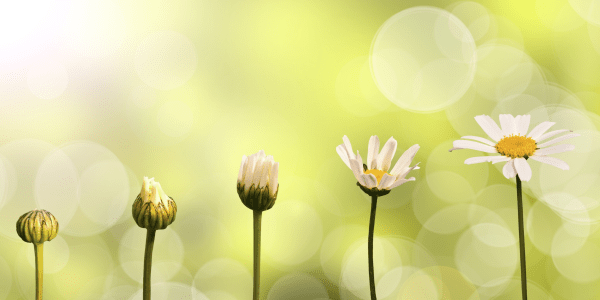 5 Steps for Building a Successful Crisis Management Plan
