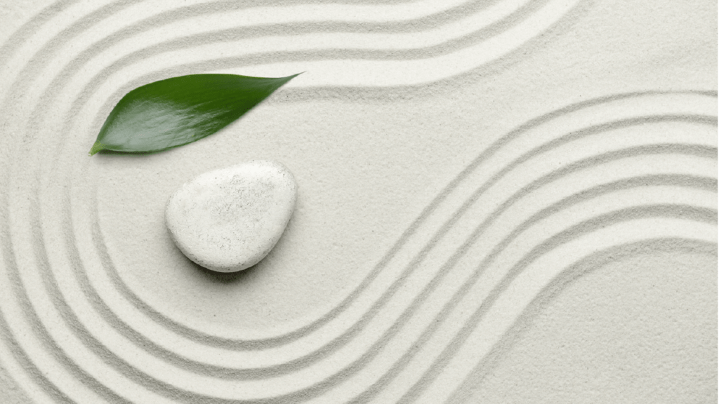 picture of roc and a leaf in sand