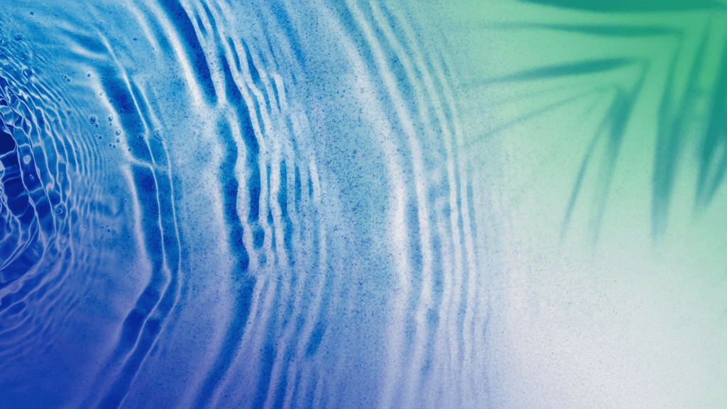 Creating a Culture of Care: Dataminr’s Commitment to Employee Wellness
